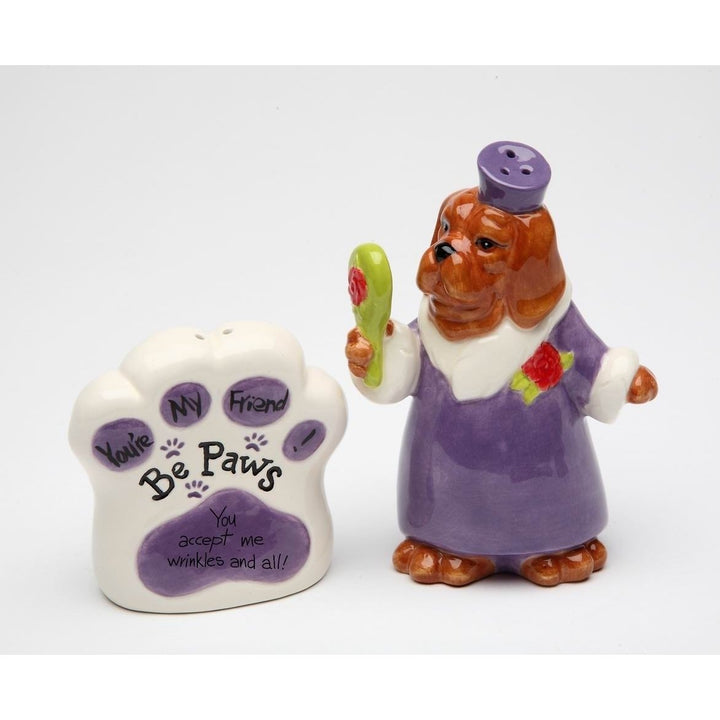 You Accept Me Wrinkles and All Ceramic Dog Salt and Pepper Shakers Image 3