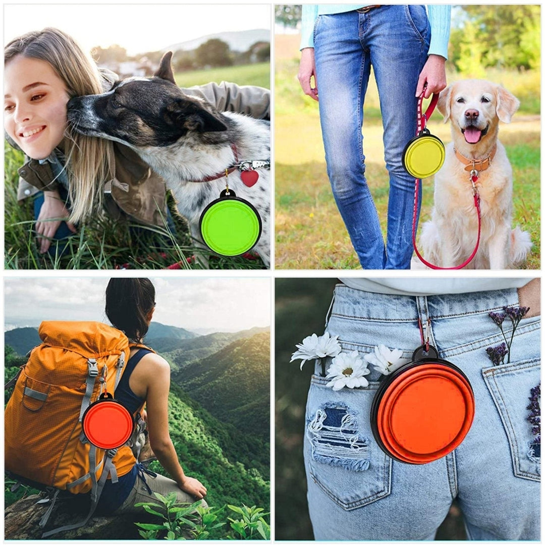 4Pcs Silicond Collapsible Dog Bowls BPA Free Travel Dog Bowl Foldable Cat Dog Food Water Bowl Image 4