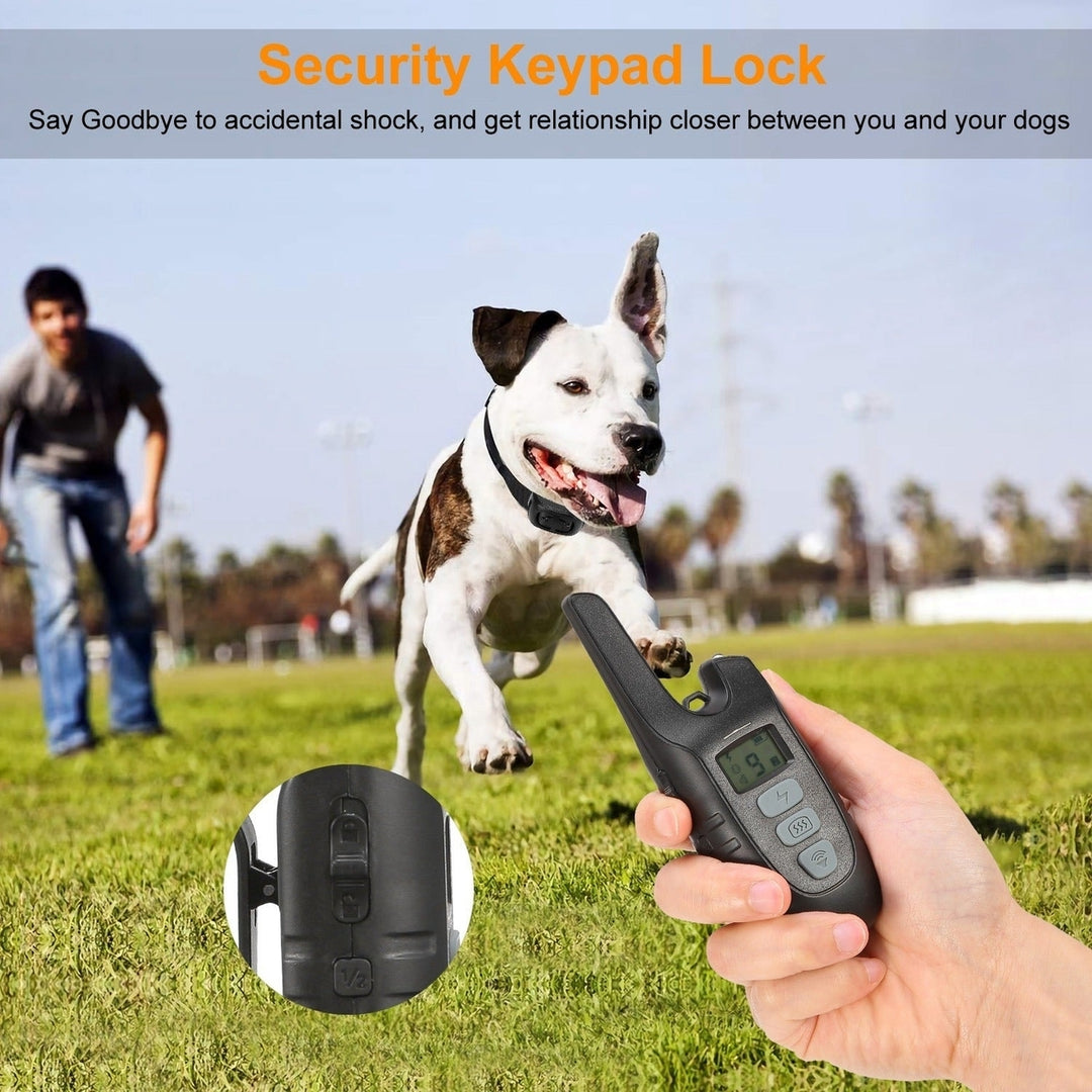 Dog Training Collar IP67 Waterproof Rechargeable Dog Shock Collar with 1640FT Remote Range Beep Vibration Shock 3 Image 4