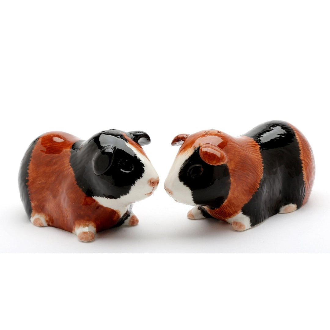 Hand Painted Ceramic Guinea Pig Salt and Pepper Shakers Image 3