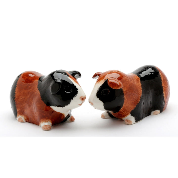 Hand Painted Ceramic Guinea Pig Salt and Pepper ShakersHome DcorKitchen Dcor Image 3