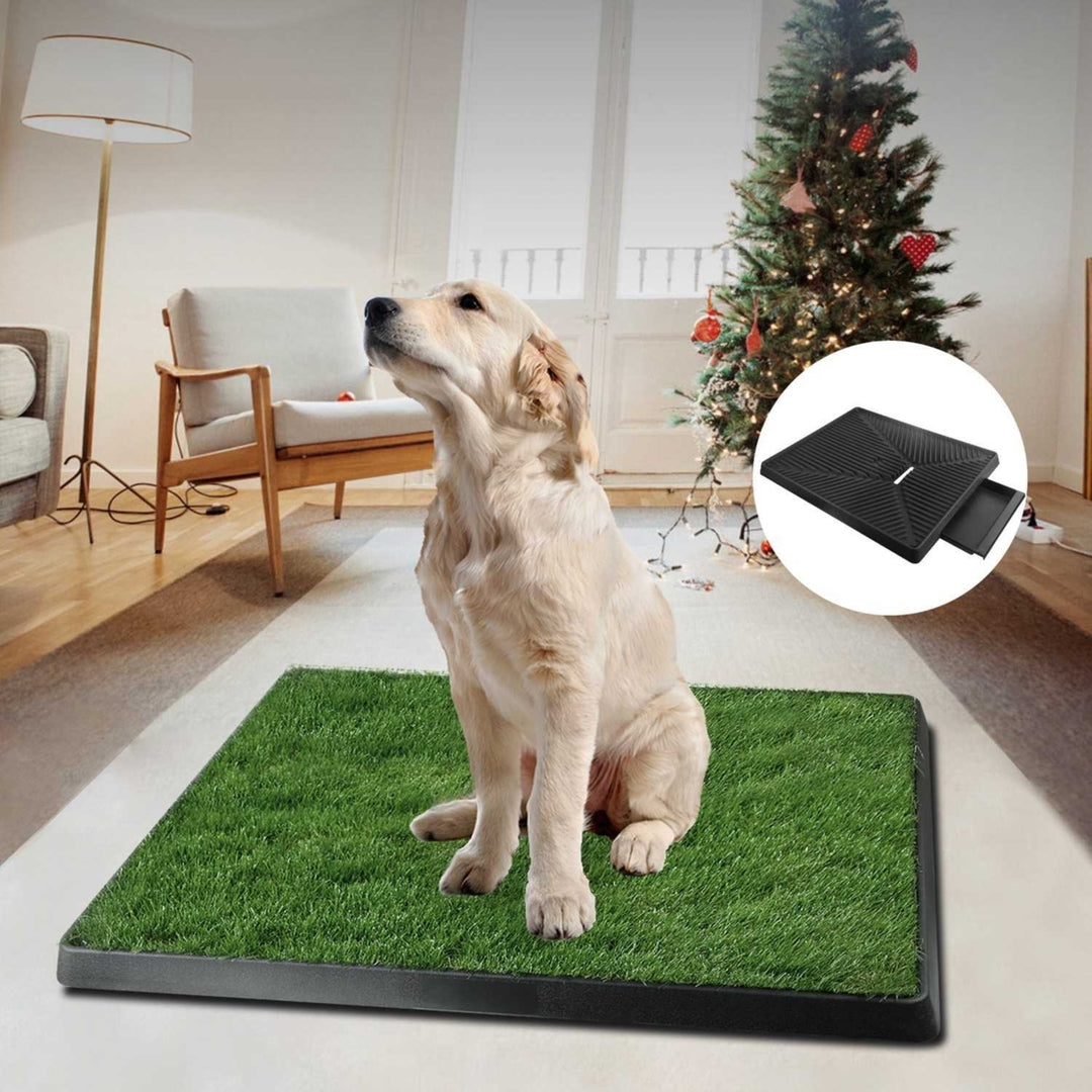 Dog Potty Training Artificial Grass Pad Pet Cat Toilet Trainer Mat Puppy Loo Tray Turf Image 9