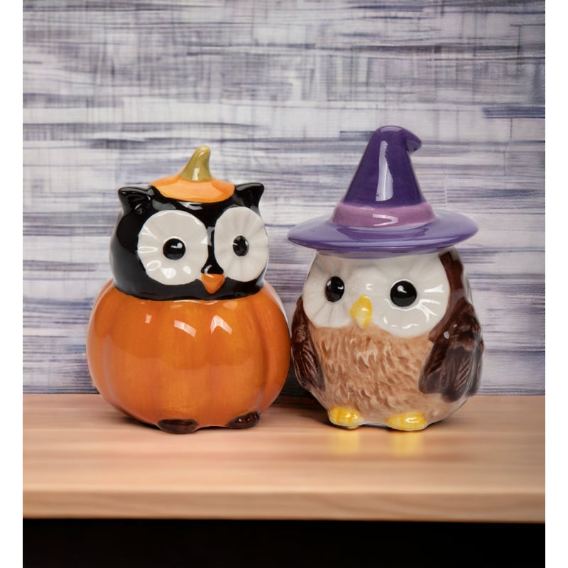 Ceramic Witch Owl Pumpkin Owl Salt and Pepper Shakers Fall Image 2