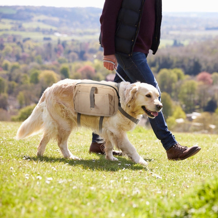 Pet Dog Backpack Hound Hiking Camping Saddle Bag Cotton Canvas For Medium Large Dog Image 12