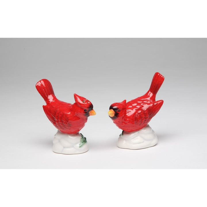 Hand Painted Ceramic Cardinal Bird Salt and Pepper Shakers Gift Image 3