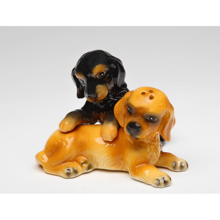 Cocker Spaniel Ceramic Salt and Pepper Shakers Dog Lover Gift Set Image 3