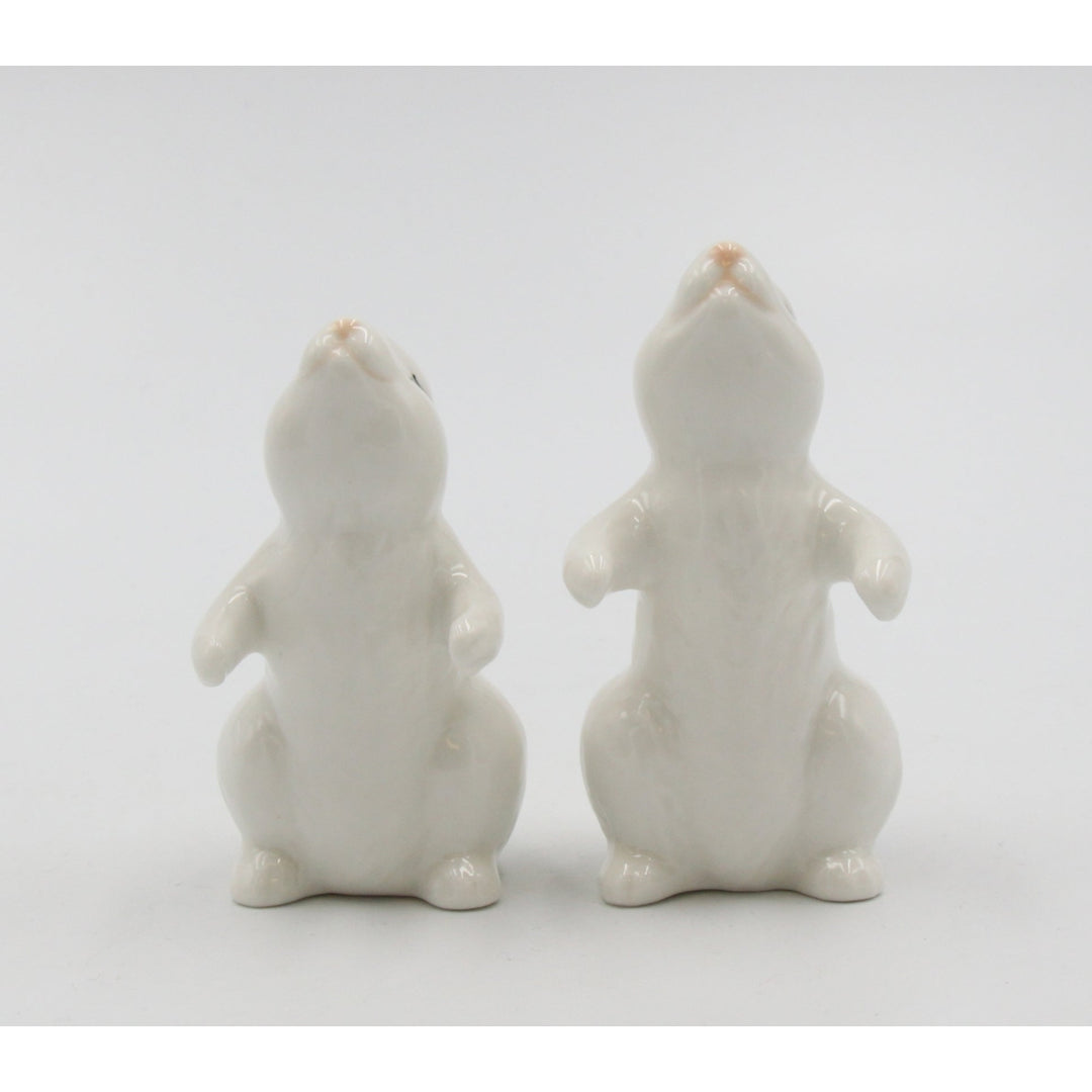 Ceramic Easter Bunny Rabbit Couple Salt and Pepper ShakersHome DcorKitchen DcorSpring Dcor Image 3