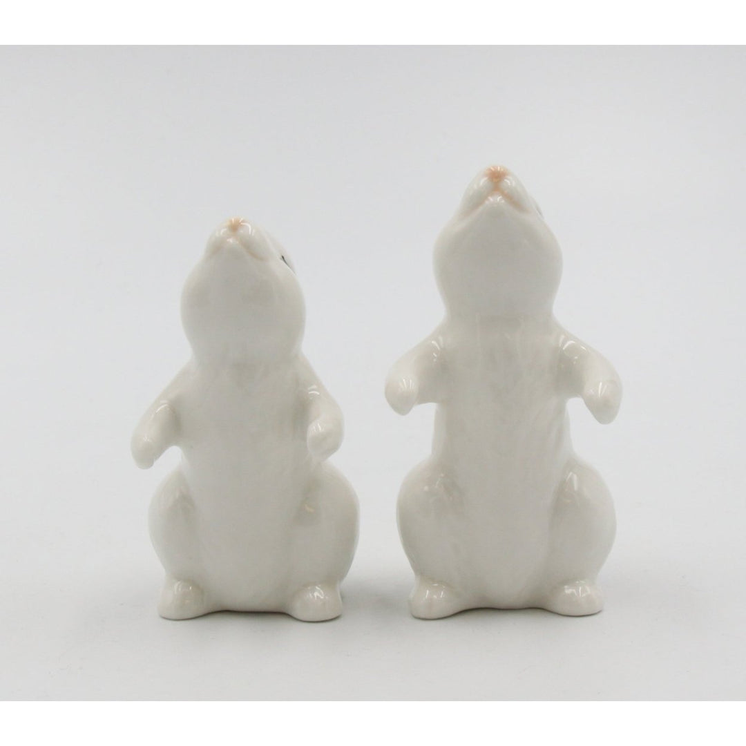 Ceramic Easter Bunny Rabbit Couple Salt and Pepper Shakers Image 3