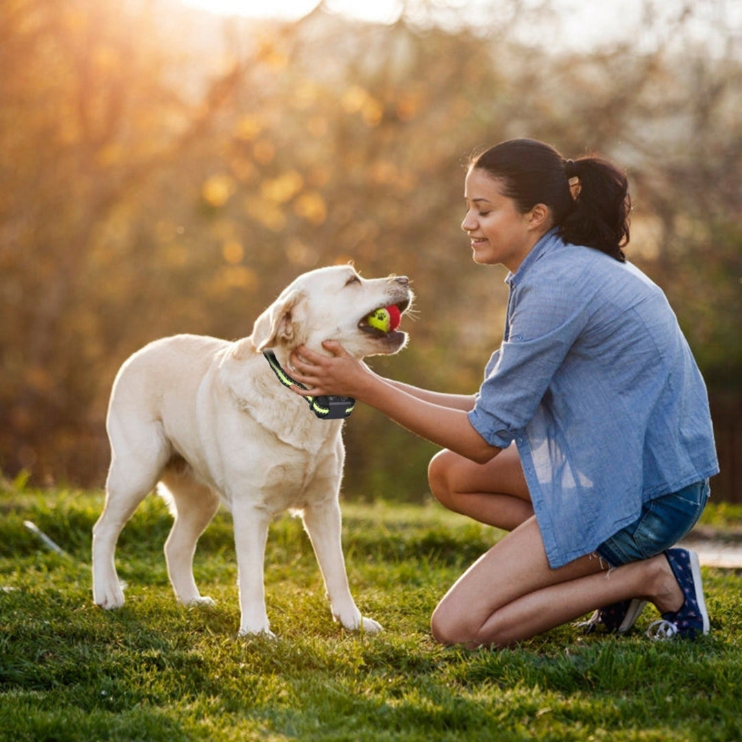 Dog Bark Collar Rechargeable Waterproof Beep Vibration Static Stimulation Bark Stopper Image 11