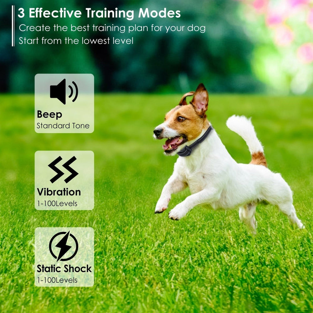 Dog Training Collar IPX7 Waterproof Pet Beep Vibration Electric Shock Collar Image 2