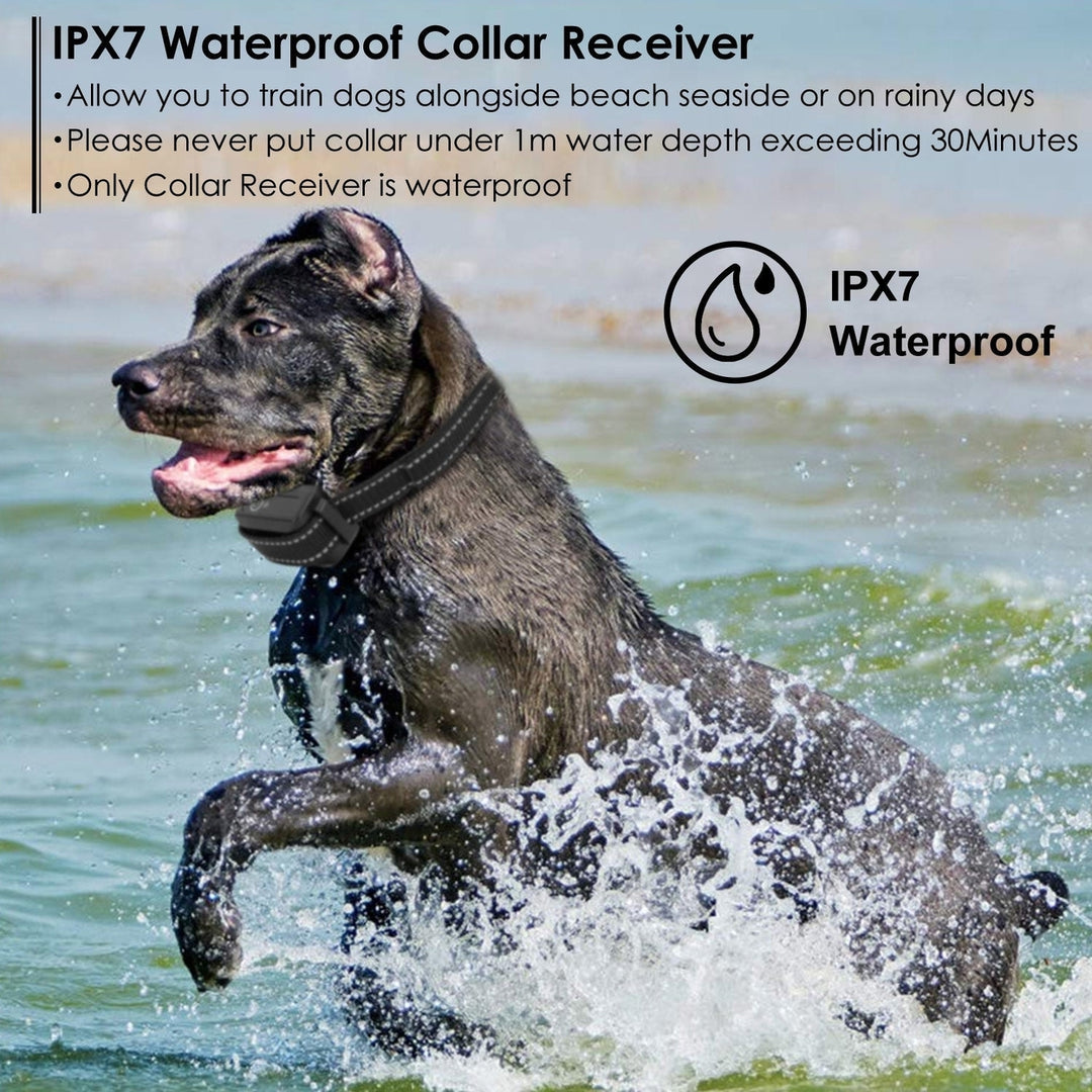 Dog Training Collar IPX7 Waterproof Pet Beep Vibration Electric Shock Collar Image 4