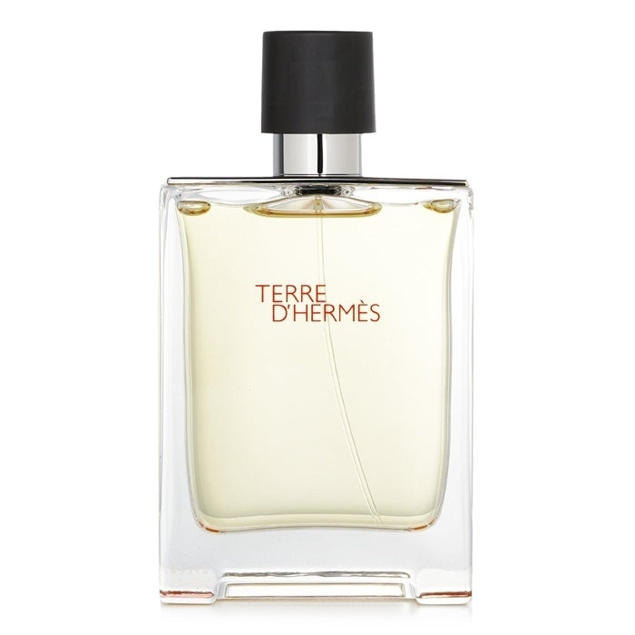 Hermes Terre DHermes Eau De Toilette Spray 100ml/3.4oz Image 1