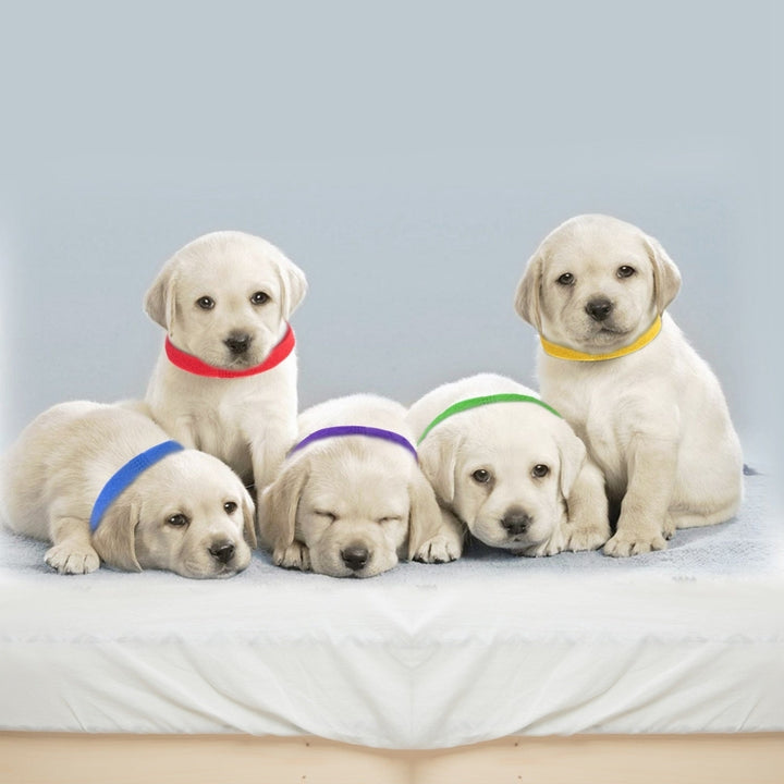 12 Colors Whelping Puppy ID Collars Adjustable Double-Sided Pet ID Bands Image 8