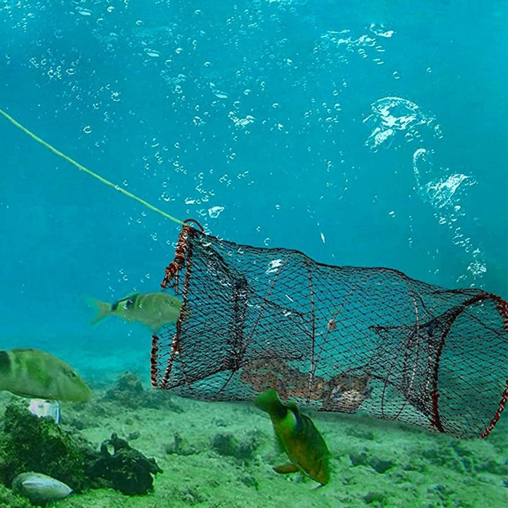 2Pcs Crab Trap Bait Nets Shrimp Prawn Crayfish Lobster Bait Fishing Pot Cage Basket 22x11.8in Image 9