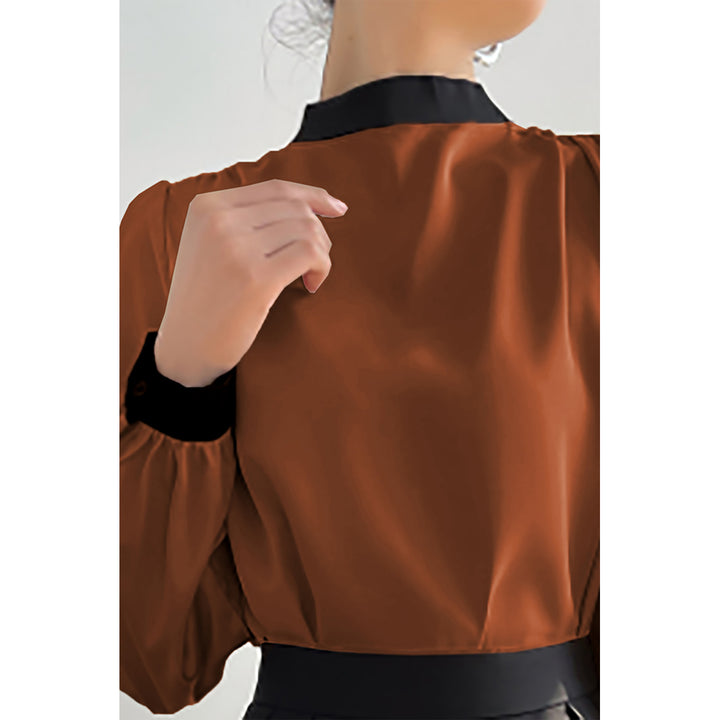 Women's Brown Color block mock neck blouse Image 1