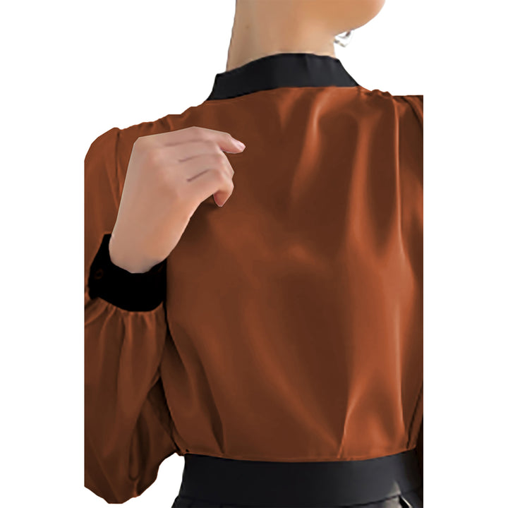 Women's Brown Color block mock neck blouse Image 2