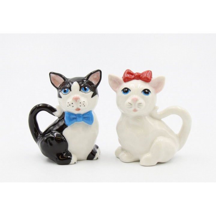 Ceramic Black and White Cat Salt and Pepper Shakers Gift for Cat Image 3