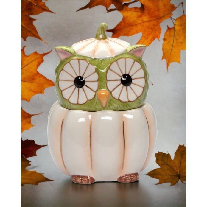 Ceramic White Pumpkin Owl Candy Jar 5x4.5x6.75 Fall Halloween Gift Image 1