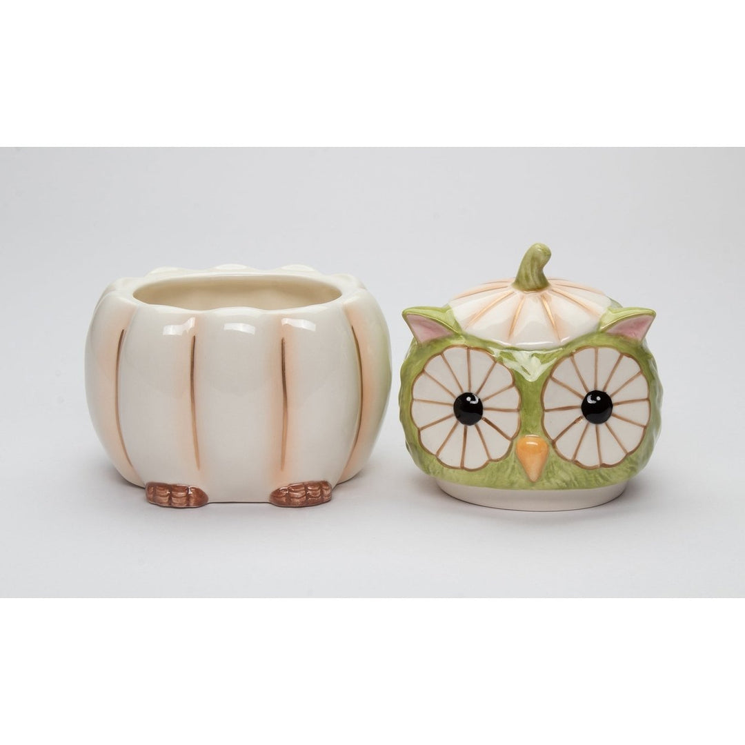 Ceramic White Pumpkin Owl Candy Jar 5x4.5x6.75 Fall Halloween Gift Image 3