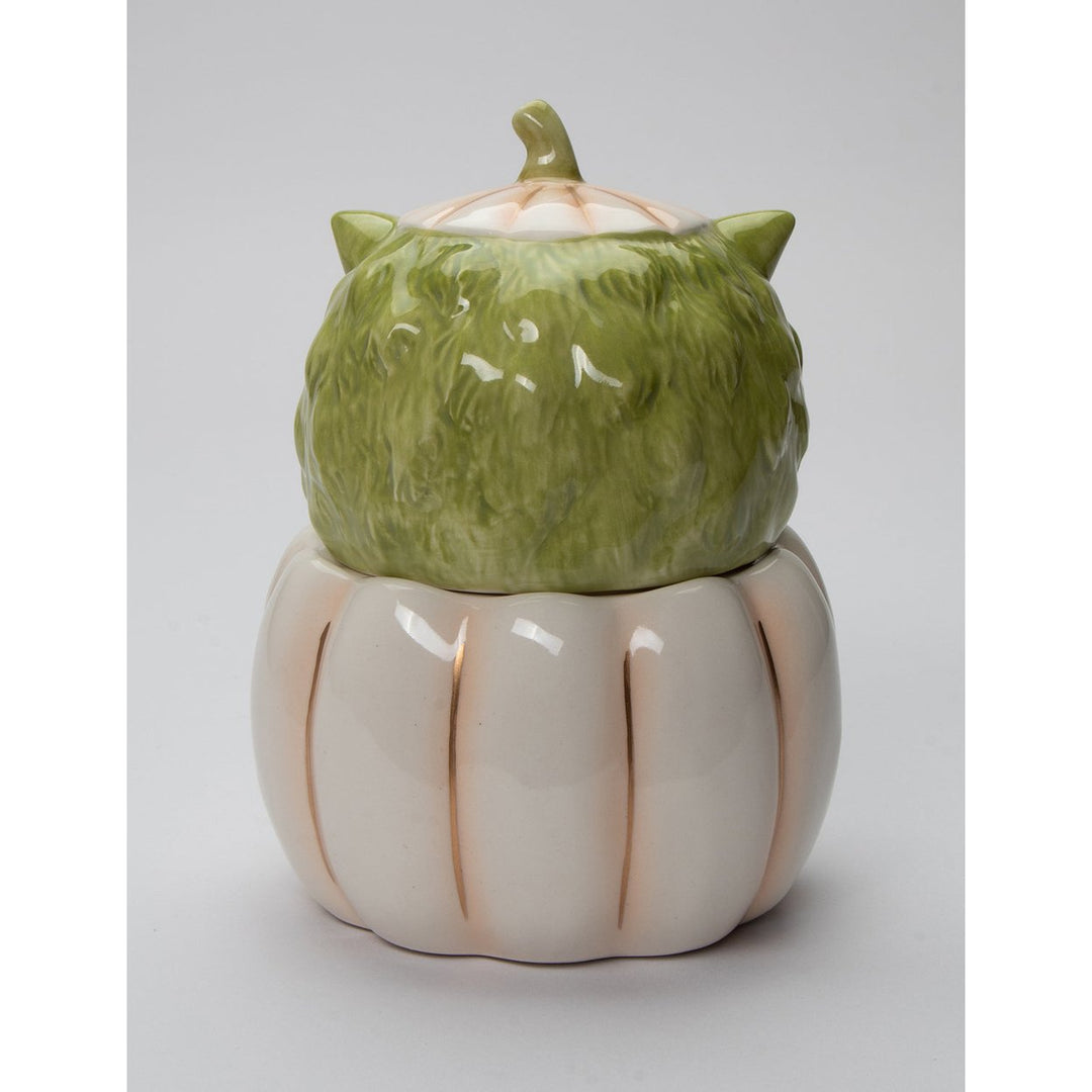 Ceramic White Pumpkin Owl Candy Jar 5x4.5x6.75 Fall Halloween Gift Image 4