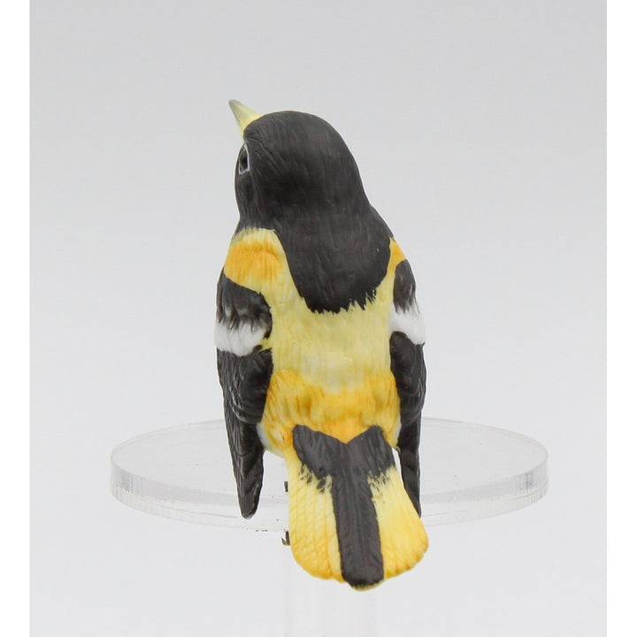 Ceramic Northern Oriole 2.375x1.375 Garden Decor Image 7