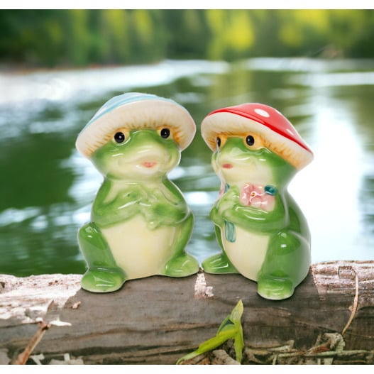 Ceramic Frog Mushroom Salt and Pepper Shakers Red Blue Kitchen Gift Image 1