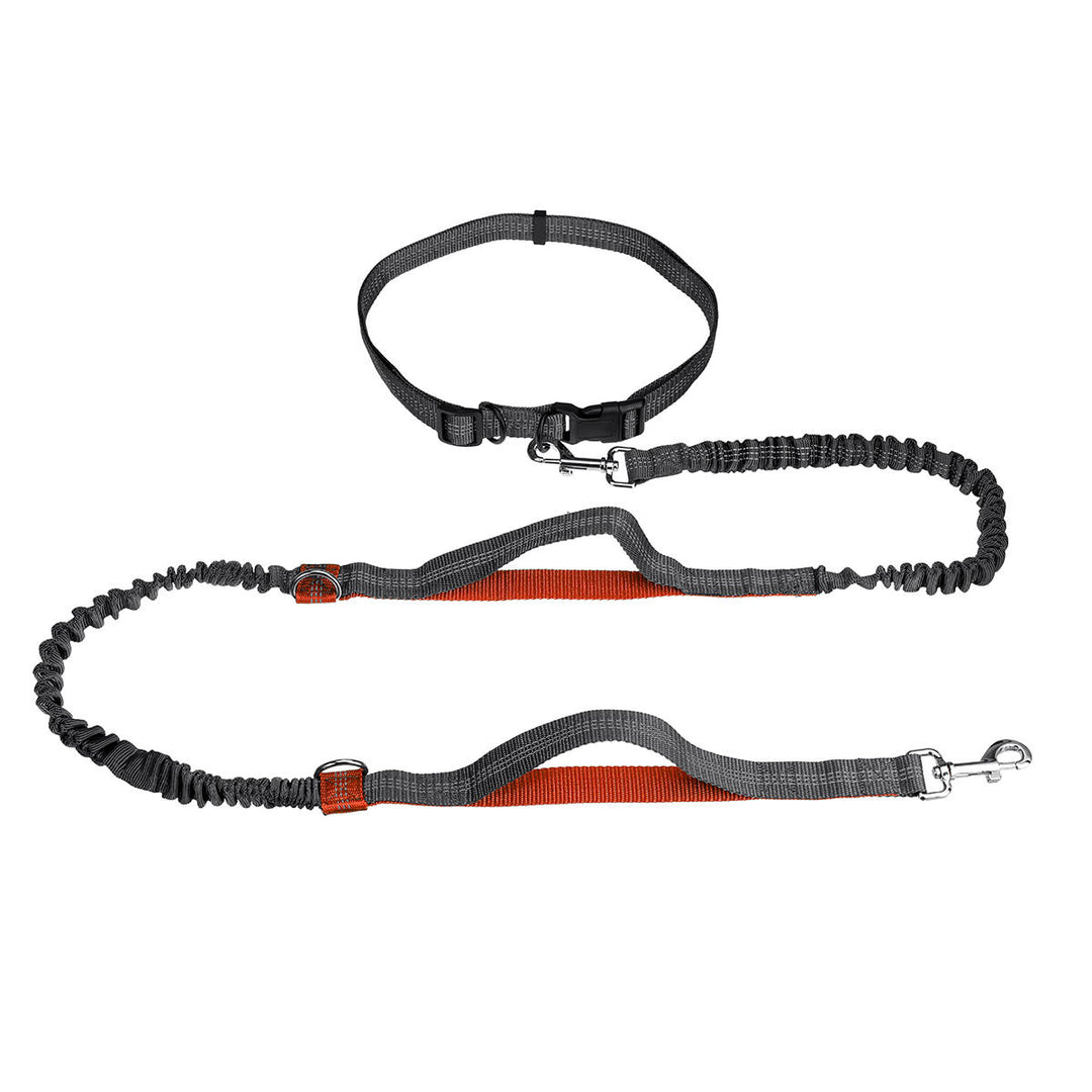 Adjustable Elastic Waist Belt Leash Hands Free Pet Dog Walking Hiking Running Image 2