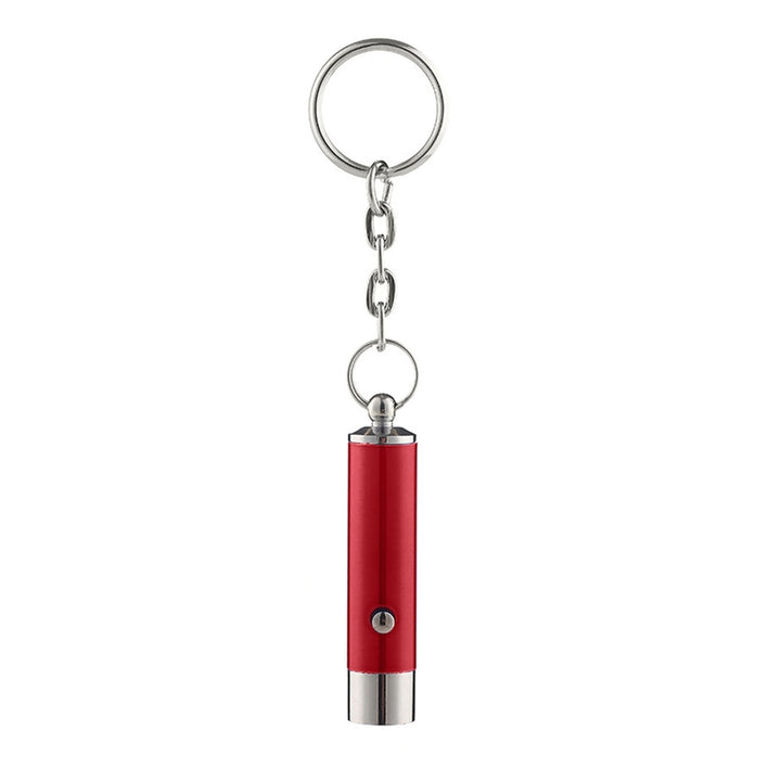 UV Flashlight Keychain Mini Key Ring Backpack Supplies Image 3
