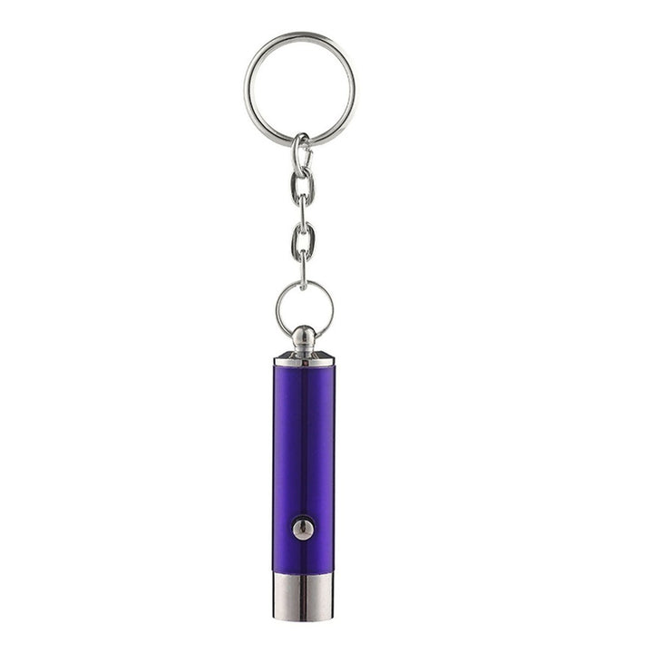 UV Flashlight Keychain Mini Key Ring Backpack Supplies Image 1