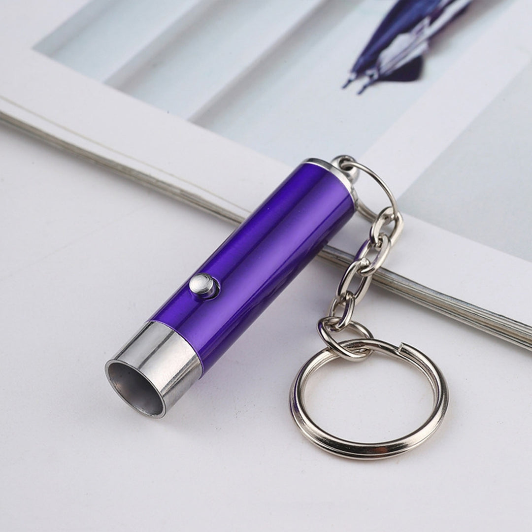 UV Flashlight Keychain Mini Key Ring Backpack Supplies Image 12