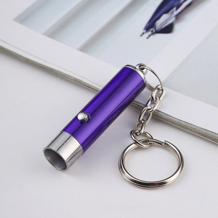UV Flashlight Keychain Mini Key Ring Backpack Supplies Image 12