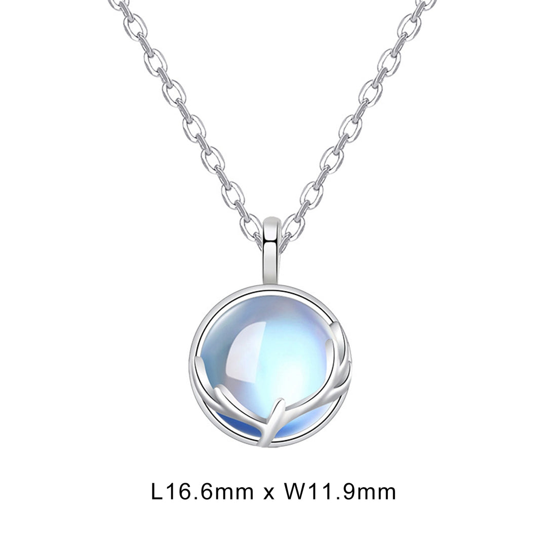 Women Necklace Transparent Stainless Women Pendant Gift Image 6