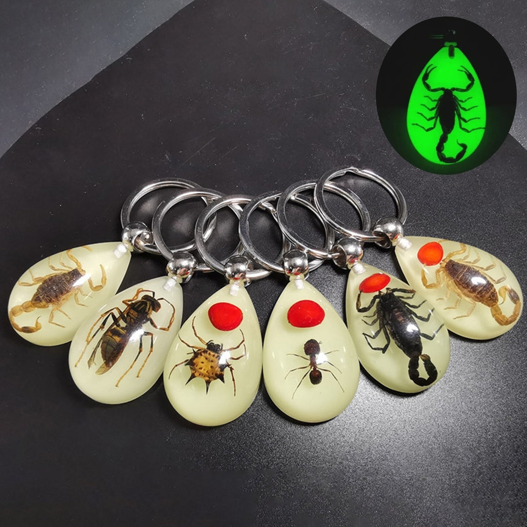 Keychain Pendant Decorative Exquisite Glow in The Dark Crabs Ants Spider Scorpion Key Ring Pendant for Men Image 1