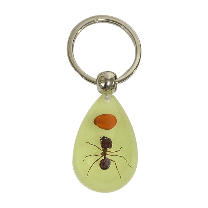 Keychain Pendant Decorative Exquisite Glow in The Dark Crabs Ants Spider Scorpion Key Ring Pendant for Men Image 2