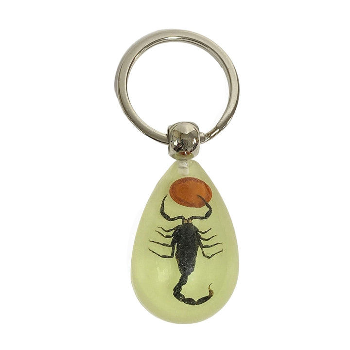 Keychain Pendant Decorative Exquisite Glow in The Dark Crabs Ants Spider Scorpion Key Ring Pendant for Men Image 3