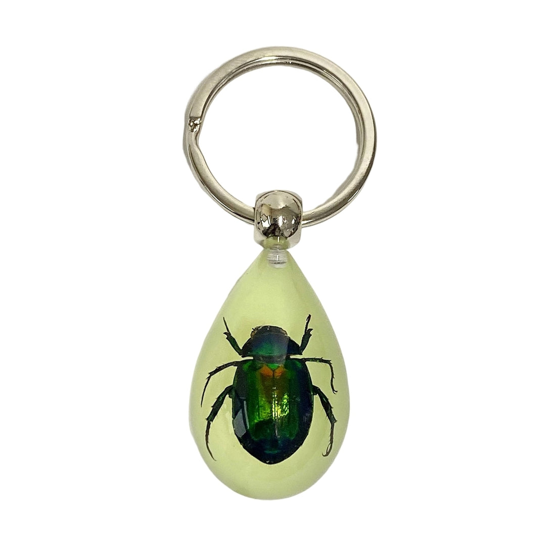 Keychain Pendant Decorative Exquisite Glow in The Dark Crabs Ants Spider Scorpion Key Ring Pendant for Men Image 4