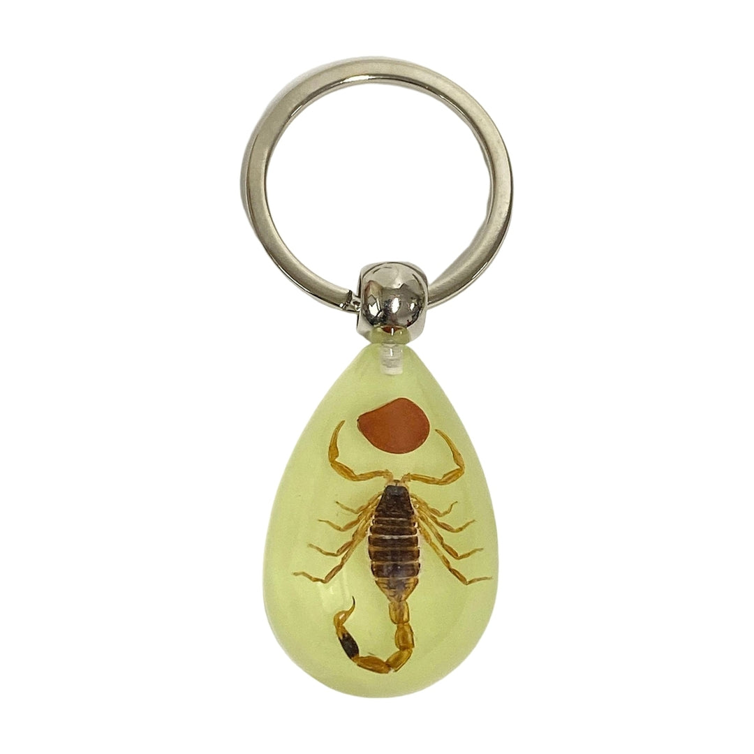 Keychain Pendant Decorative Exquisite Glow in The Dark Crabs Ants Spider Scorpion Key Ring Pendant for Men Image 4