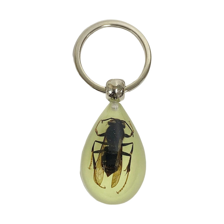 Keychain Pendant Decorative Exquisite Glow in The Dark Crabs Ants Spider Scorpion Key Ring Pendant for Men Image 6