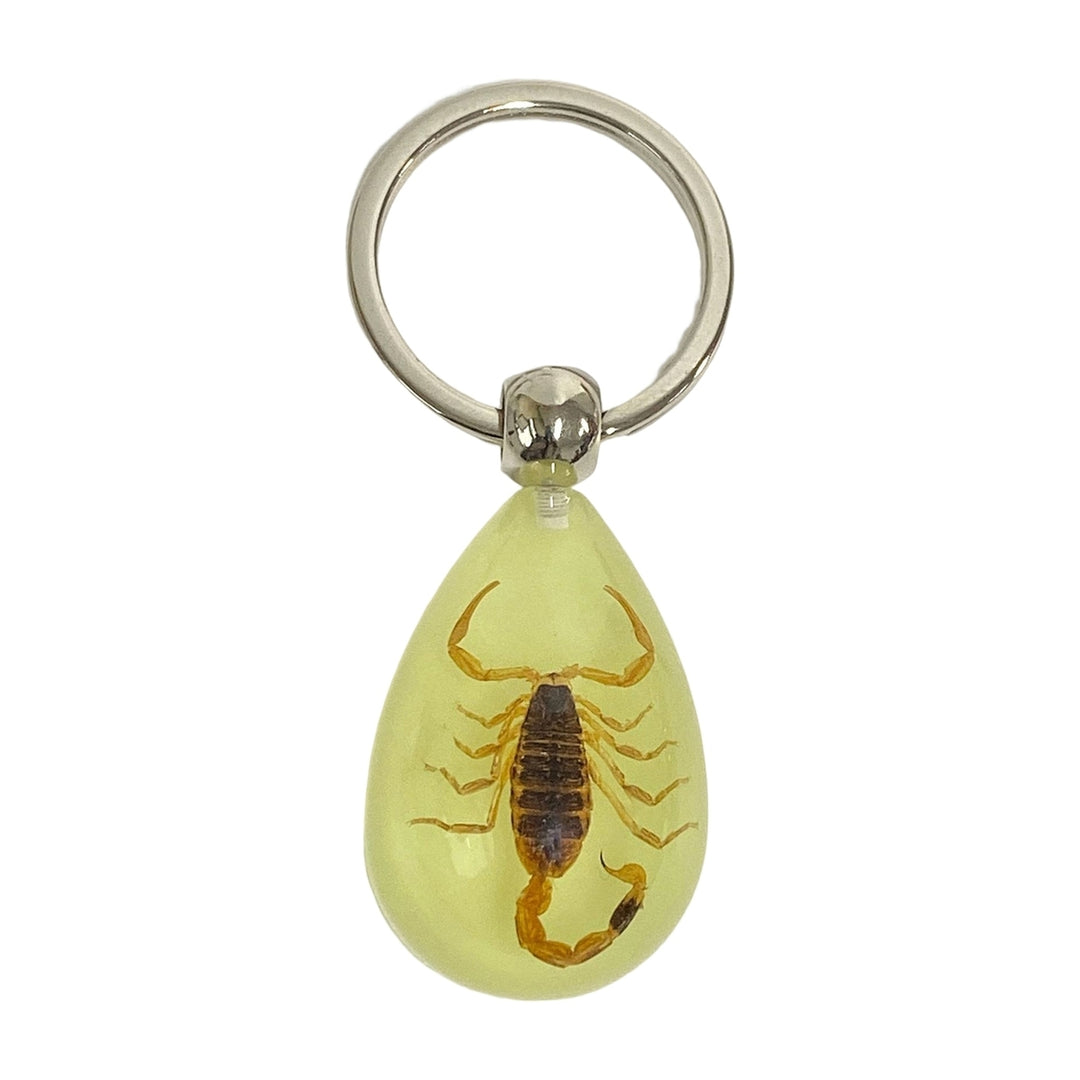 Keychain Pendant Decorative Exquisite Glow in The Dark Crabs Ants Spider Scorpion Key Ring Pendant for Men Image 9