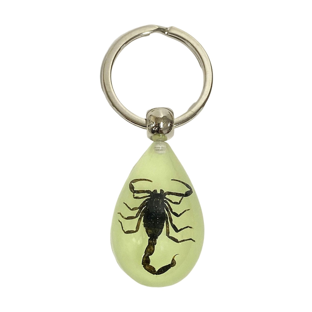 Keychain Pendant Decorative Exquisite Glow in The Dark Crabs Ants Spider Scorpion Key Ring Pendant for Men Image 10