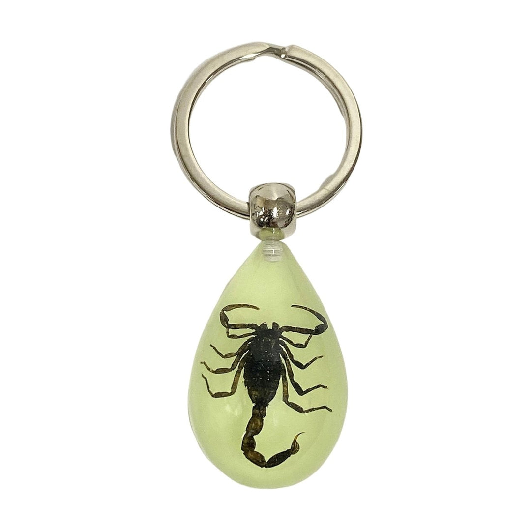 Keychain Pendant Decorative Exquisite Glow in The Dark Crabs Ants Spider Scorpion Key Ring Pendant for Men Image 1