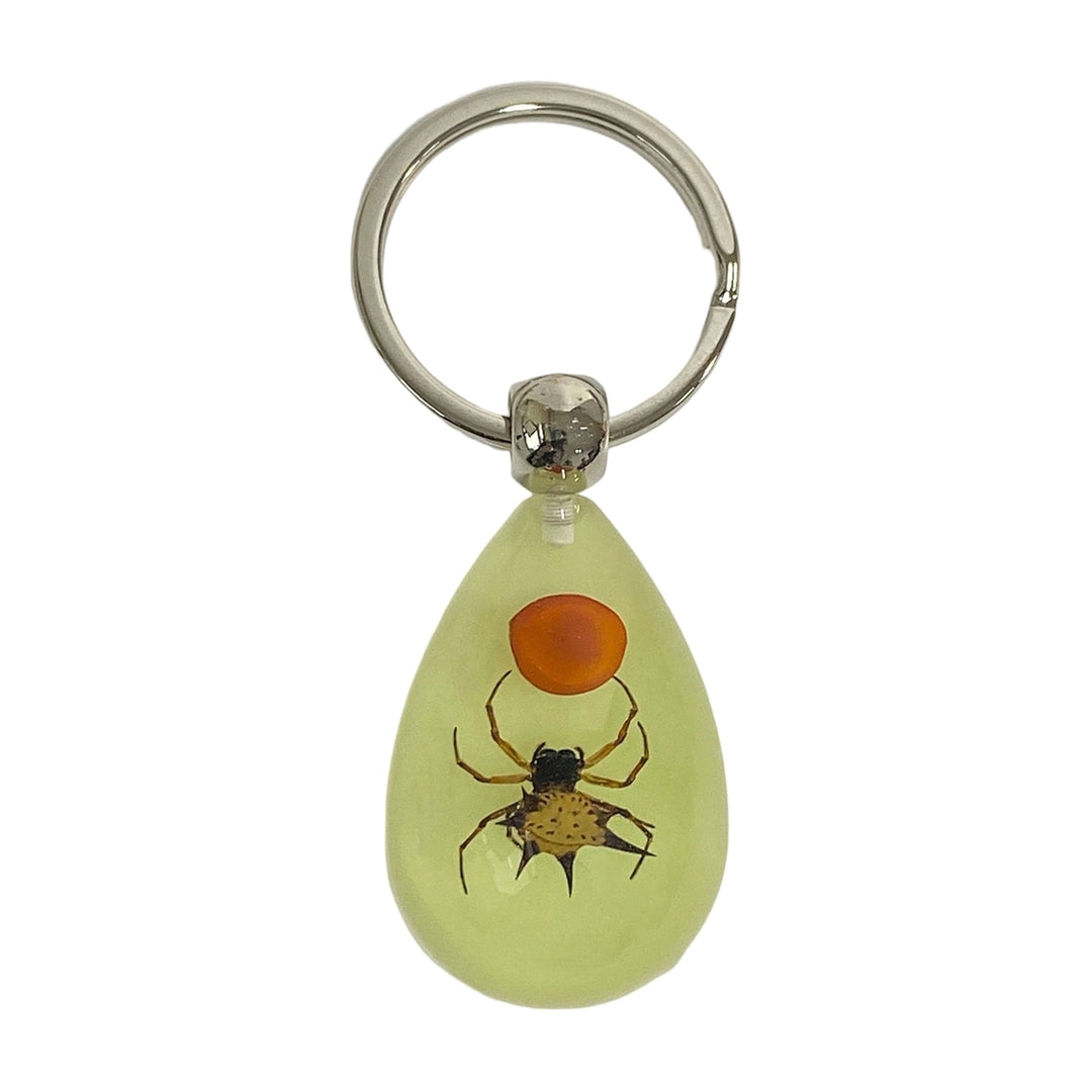 Keychain Pendant Decorative Exquisite Glow in The Dark Crabs Ants Spider Scorpion Key Ring Pendant for Men Image 11