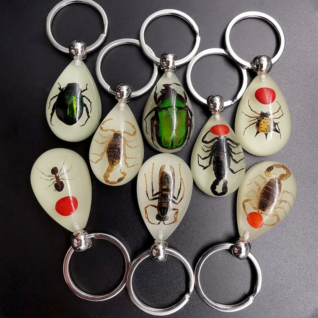 Keychain Pendant Decorative Exquisite Glow in The Dark Crabs Ants Spider Scorpion Key Ring Pendant for Men Image 12