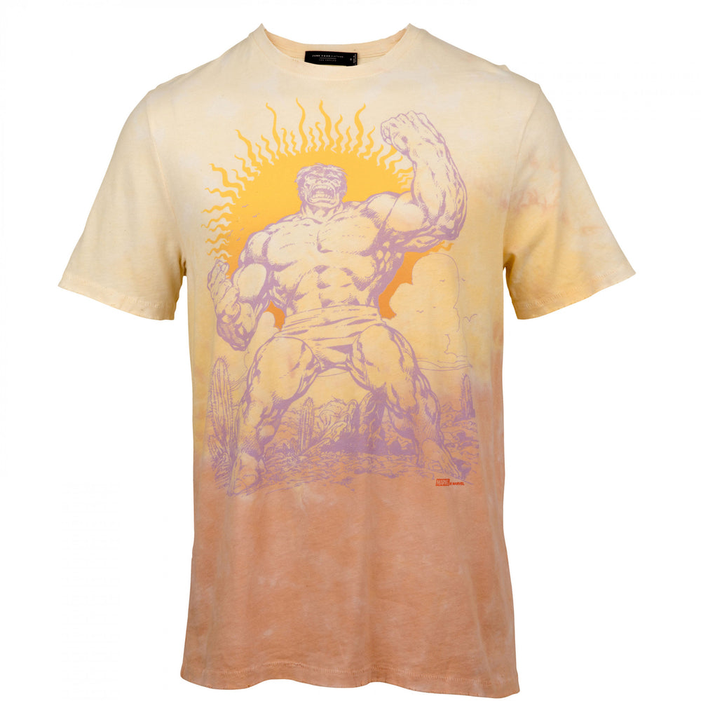 The Incredible Hulk Desert Sun T-Shirt by Junk Food Image 2