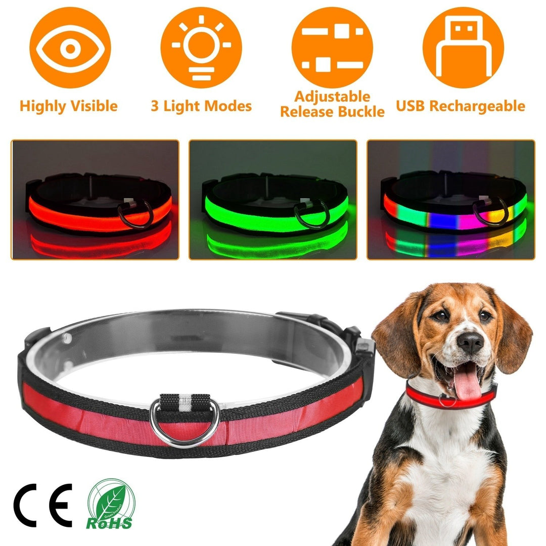 LED Dog Collar USB Rechargeable Adjustable Dog Safety Collar Night Safety Flashing Luminous Light up Collar Image 1