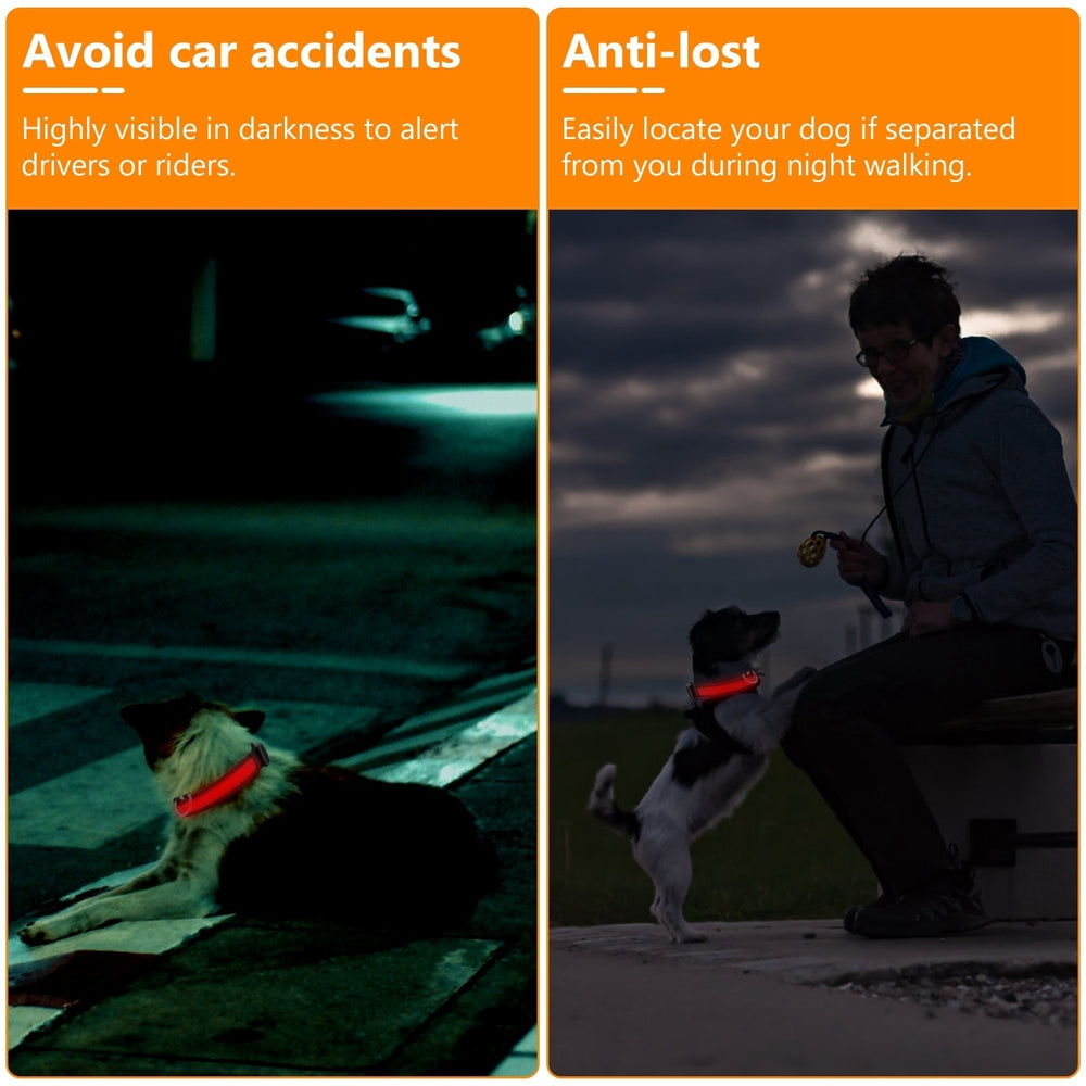 LED Dog Collar USB Rechargeable Adjustable Dog Safety Collar Night Safety Flashing Luminous Light up Collar Image 2