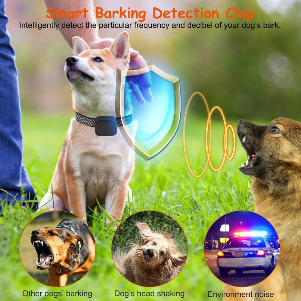 Anti Bark Dog Collar for Small Dogs No Shock Dog Training Collar Automatic Barking Stopper Terminator Waterproof USB Image 2