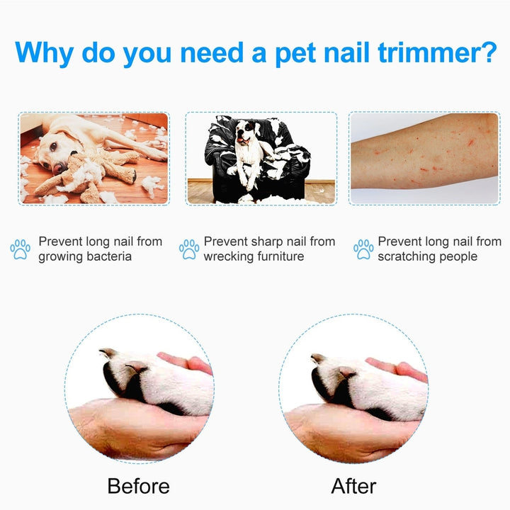 Dog Nail Clippers Pet Cat Nail Toe Trimmer Stainless Steel Grooming Tool Free Nail File Small Medium Large Dogs L Size Image 7