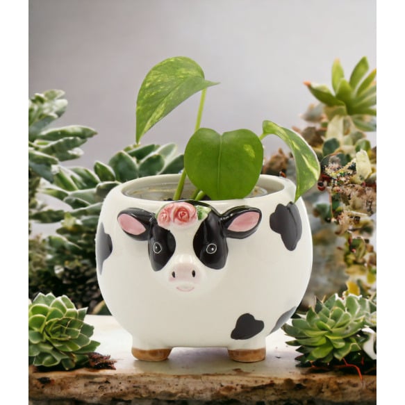 Ceramic Cow with Rose Flower Candy Bowl or Indoor PlanterHome DcorKitchen Dcor, Image 1