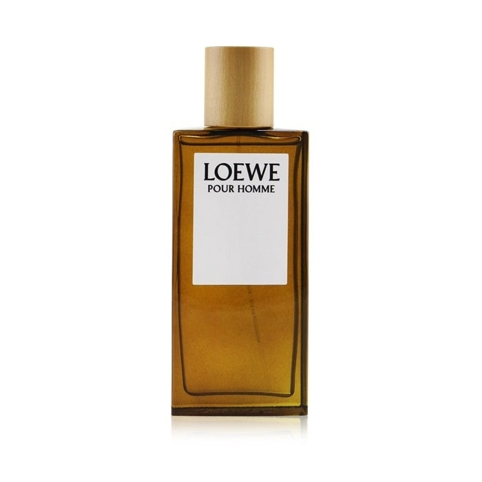 Loewe Pour Homme Eau De Toilette Spray 100ml/3.3oz Image 1